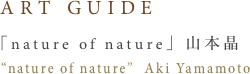 ART GUIDE 「nature of nature」 山本晶
