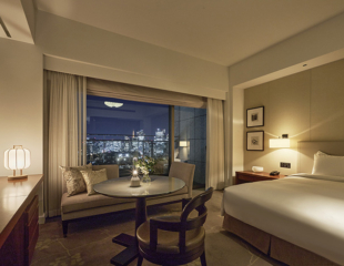 Palace Hotel Tokyo Accommodation Package JAXURY Stay 2025 Deluxe Room With Balcony