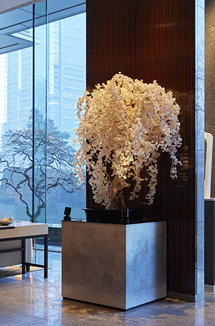 Palace Hotel Tokyo Event Tokyo Creative Salon 2025 Sakura Installation Daytime T2