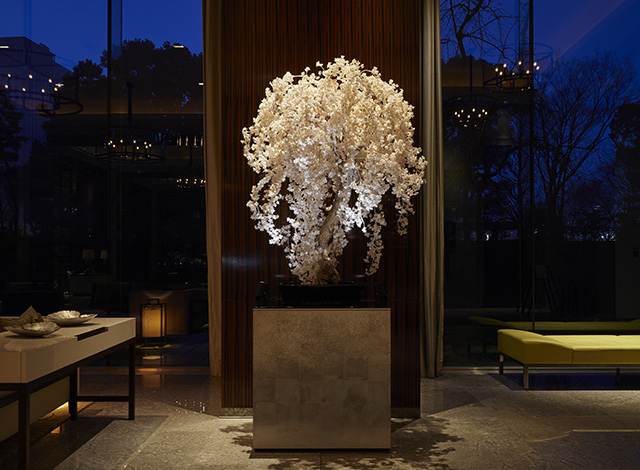 Palace Hotel Tokyo Event Tokyo Creative Salon 2025 Sakura Installation Night