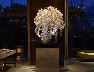 Palace Hotel Tokyo Event Tokyo Creative Salon 2025 Sakura Installation Night HT2 | © 美しい国の、美しい一日がある。2024